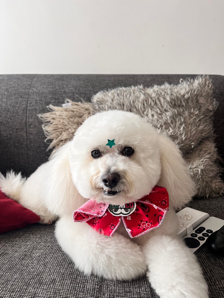Pet Profile Image