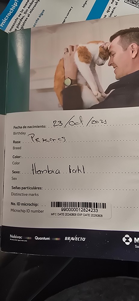 Pet Profile Image
