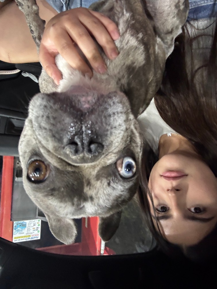 Pet Profile Image