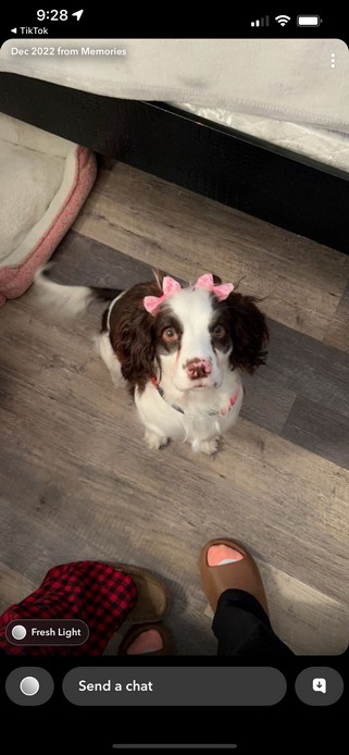 Pet Profile Image