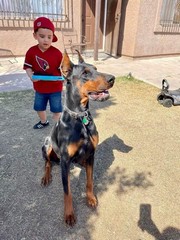 Pet Profile Image