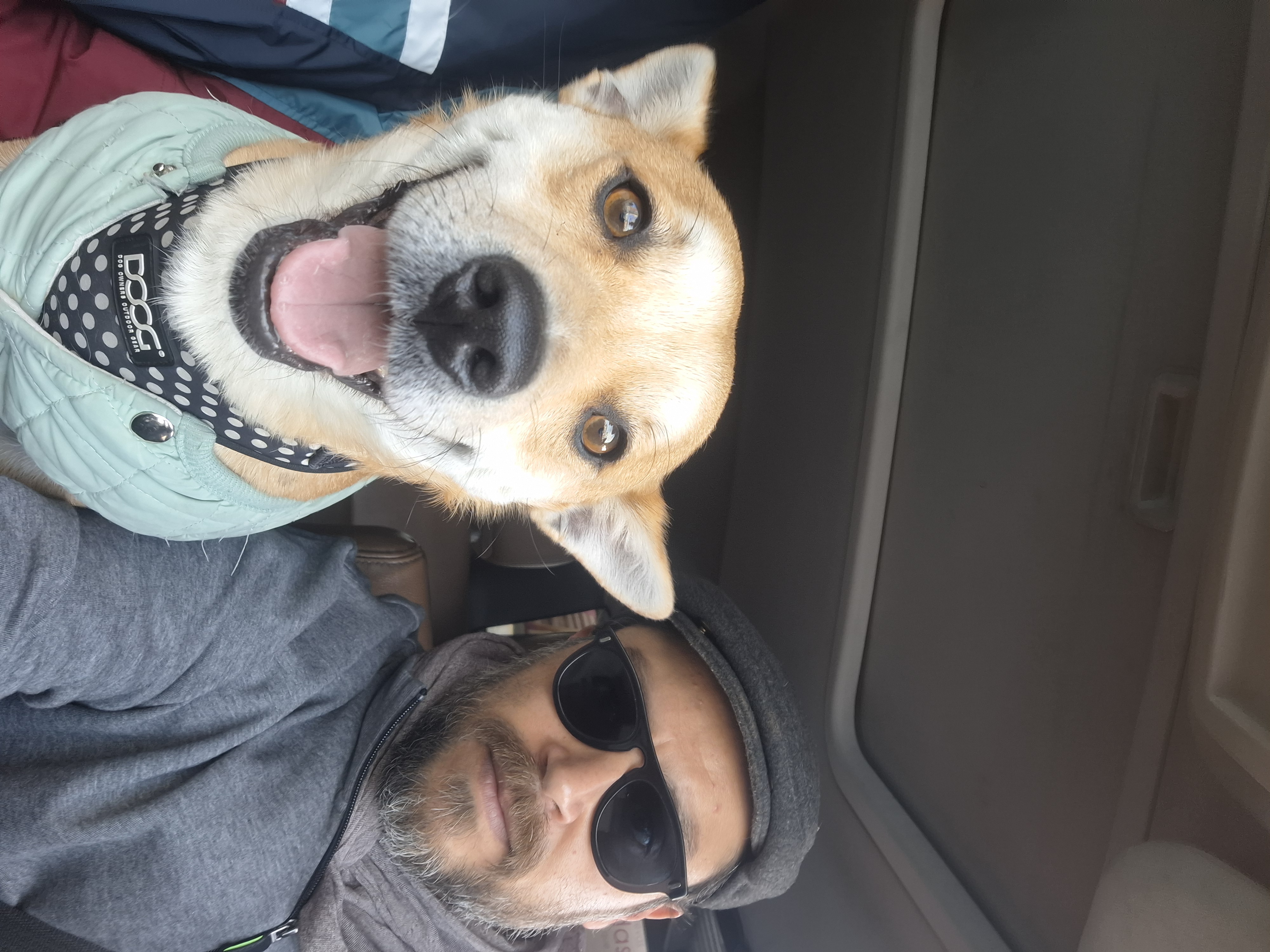 Pet Profile Image