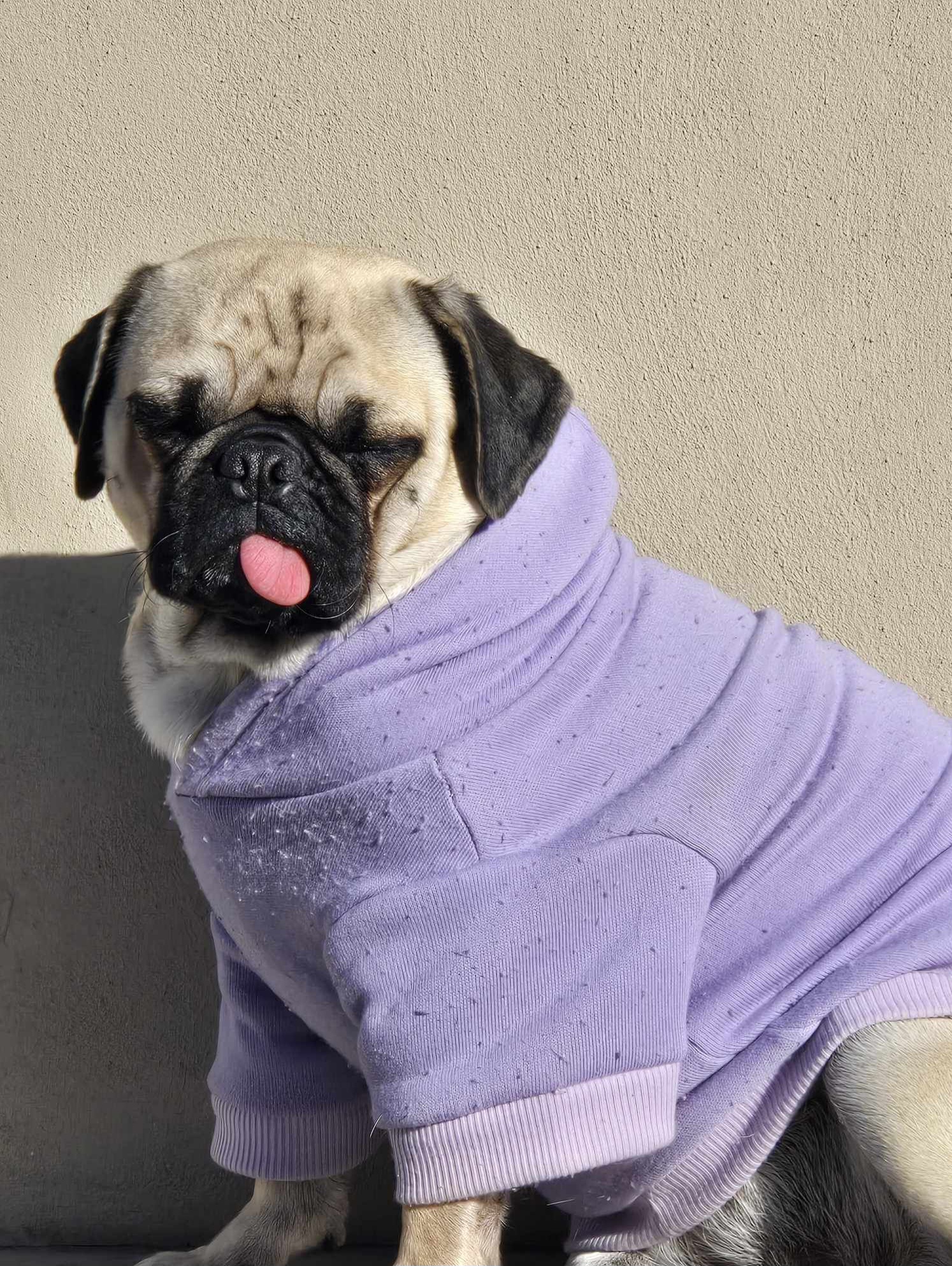 Pet Profile Image
