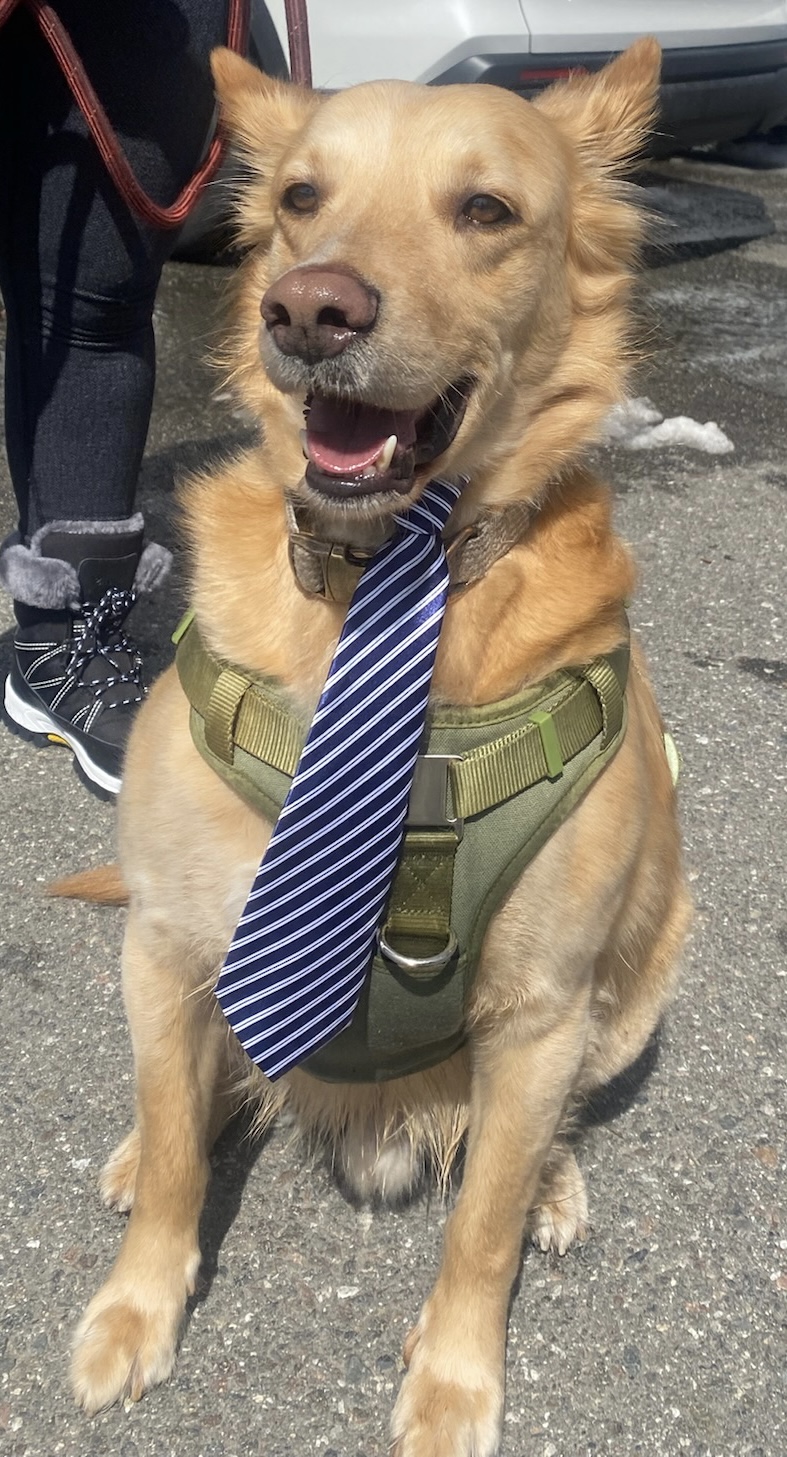 Pet Profile Image