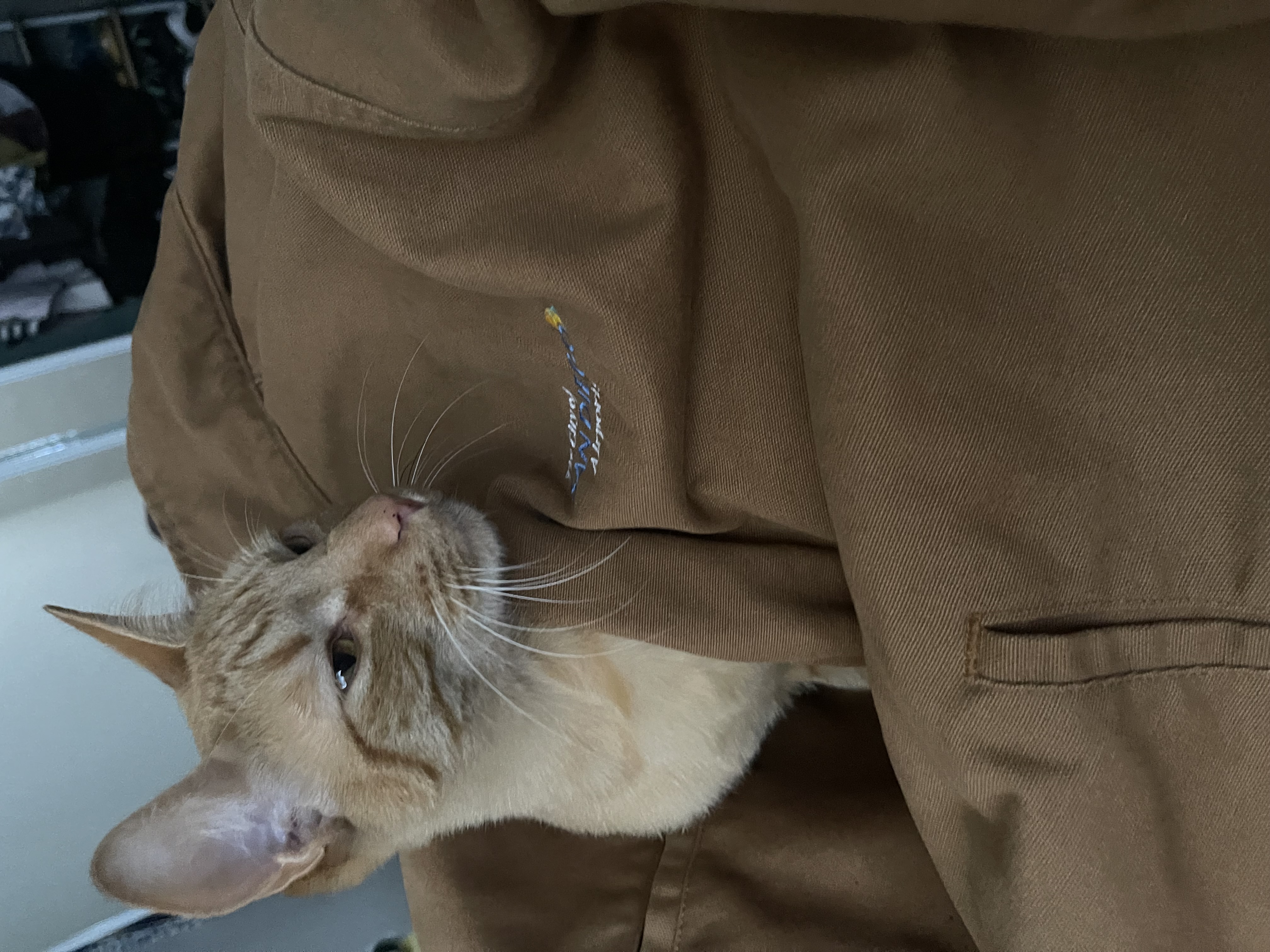 Pet Profile Image