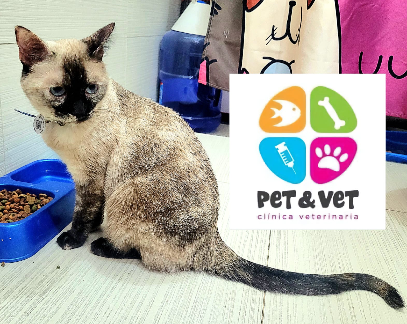 Pet Profile Image